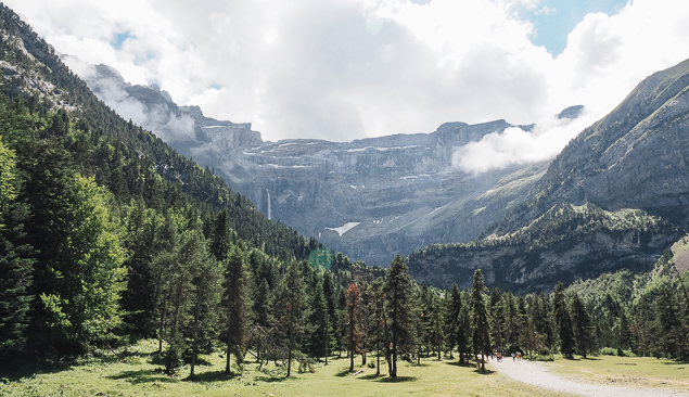 forêt des pyrenees