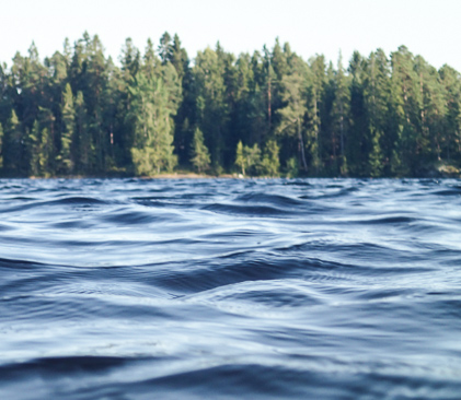 bord d'un lac de foret