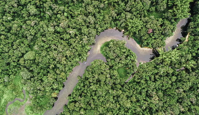 rivière en forêt guyanaise
