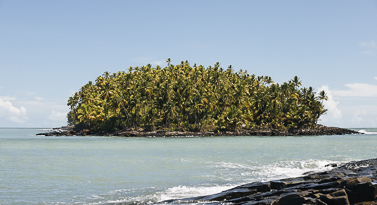 île guyanaise