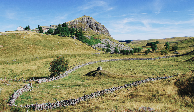 plateau de l'Aubrac