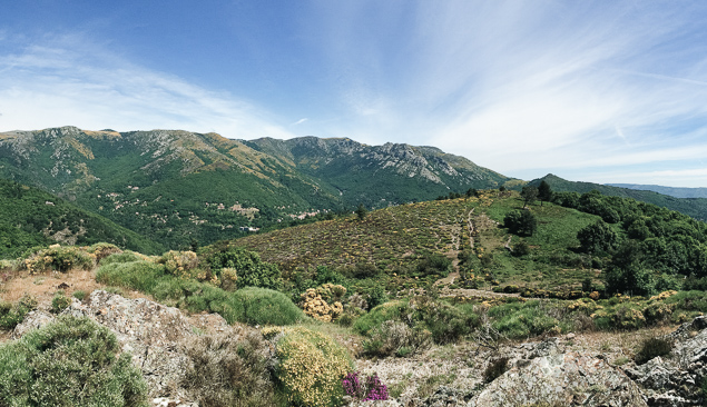 paysage des cevennes