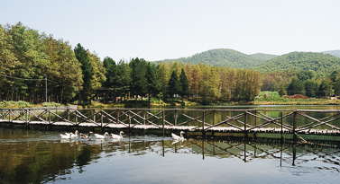 pont à calabre