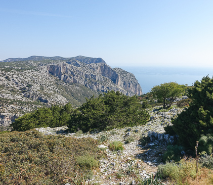 monte de oro