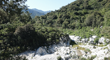 riviere dans les gorges gorropu