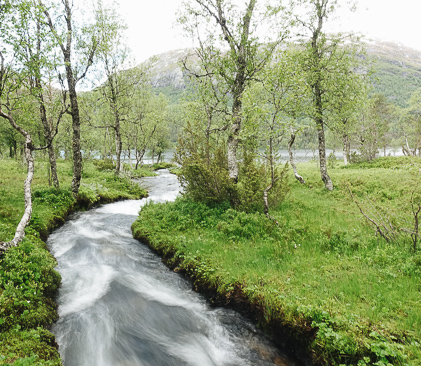 paysage entre langestolen et likholefossen