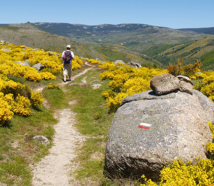 Balisage sur chemin en Lozère