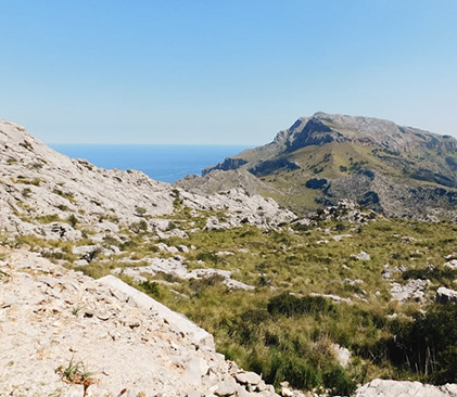 les montagnes de Majorque