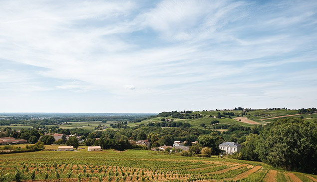 campagne du Medoc