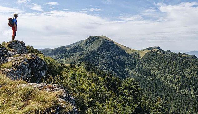 Panorama forêt du Jura