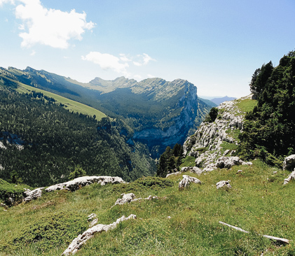 paysage de la chartreuse