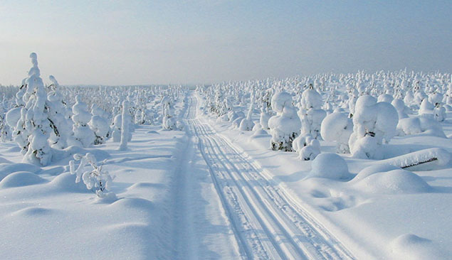 chemin enneigé en Finlande