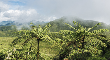 volcan de la soufriere