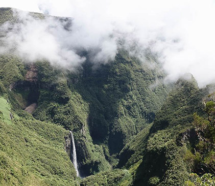 Forêt primaire et cascade du Trou de Fer à La Réunion
