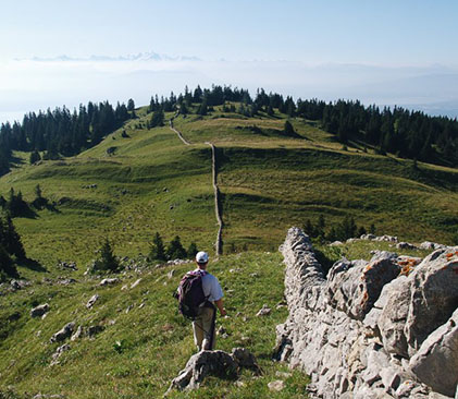 Hautes combes jurasiennes