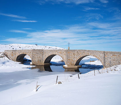pont dans l'Aubrac