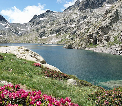 parc du Mercantour