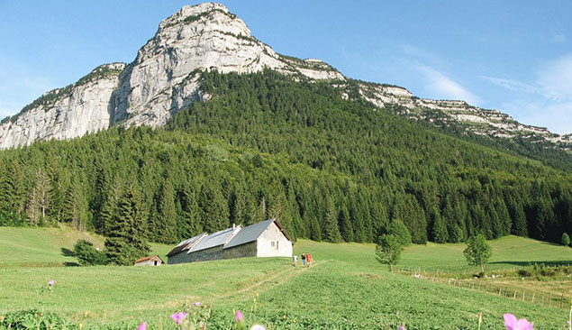 flaise verdoyante de la Chartreuse dans les Alpes