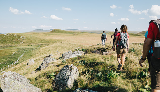 Randonnée dans le Cézallier en Auvergne