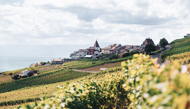 campagne lac léman