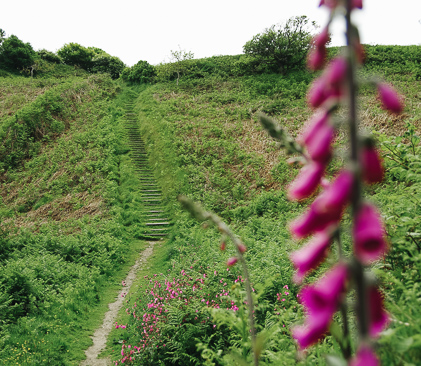 chemin de bouley bay