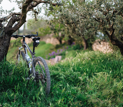 velo en Croatie