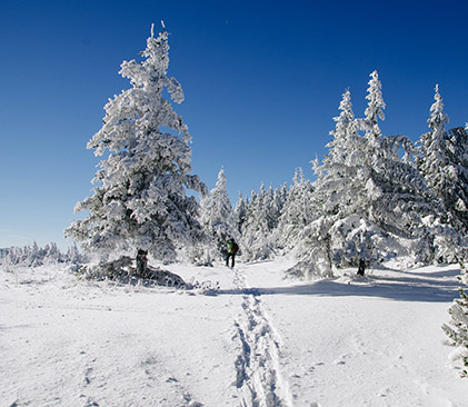 le Mézenc en hiver