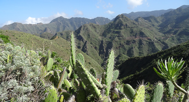 Anaga, Tenerife