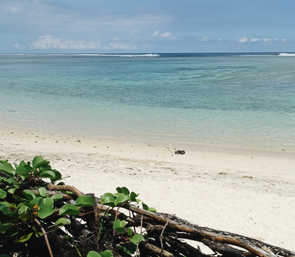 plage de la reunion