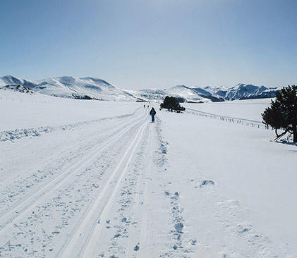 Raquettes dans le Sancy