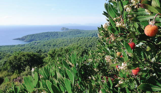 massif des maures