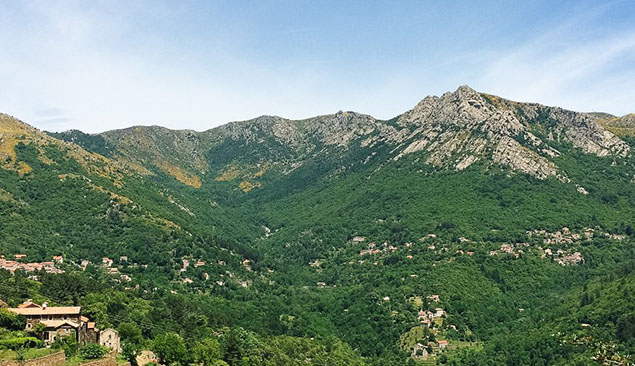 Panorama sur le Mont-Lozère