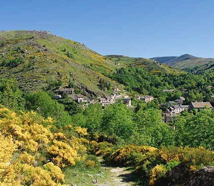 chemin de Stevenson dans les Cévennes