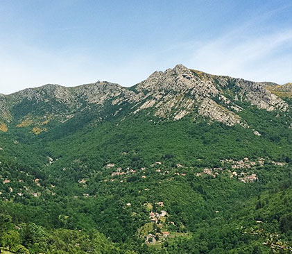 Panorama du Mont-Lozère