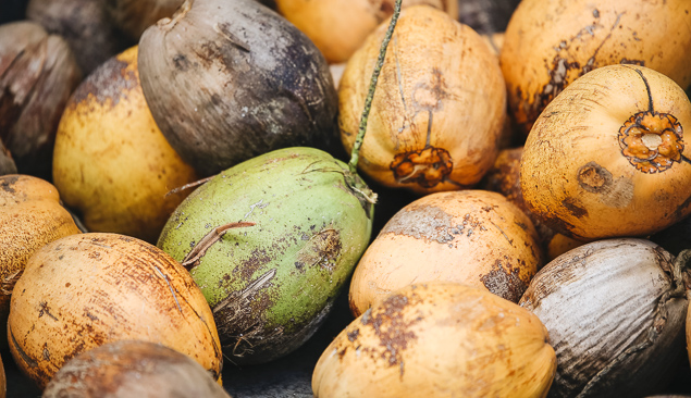 noix de coco de guadeloupe