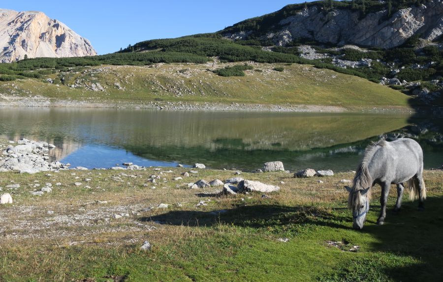 Gran de Fosses Remeda Rossa abournerie