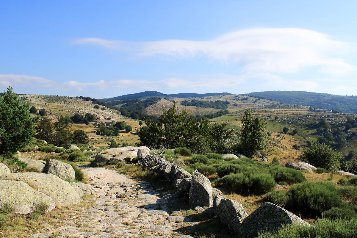 Sur le GR70, chemin de Stevenson, dans les Cévennes