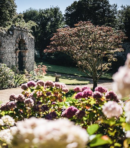 Jardin à l'anglaise © T. Vattard Jardin à l'anglaise
