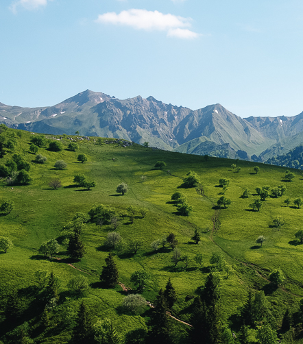 massif-central-psaintjean.jpg