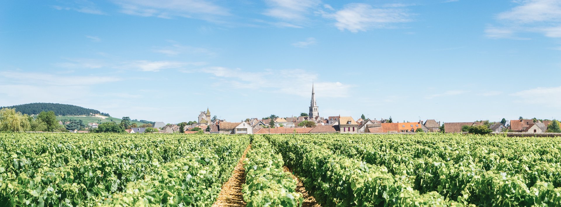 La Bourgogne : séjours de randonné pédestre et à vélo