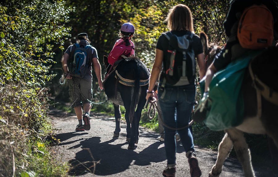 Trek - Voyage en famille dans les volcans d\'Auvergne