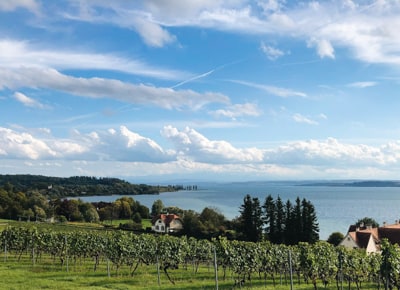 Le tour du lac de Constance à vélo et en famille