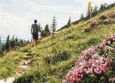 Randonnées alpines dans le Salzkammergut