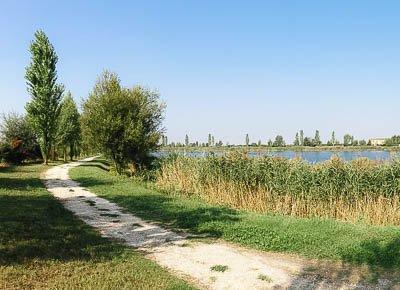 Chemin de Rome, Via Francigena