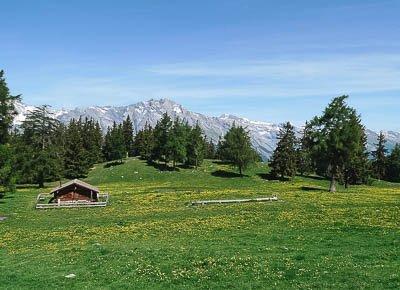 Les bisses du Valais