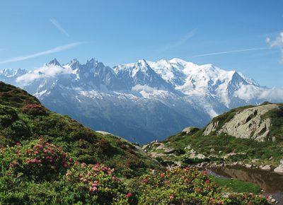 Paysage face Mont Blanc