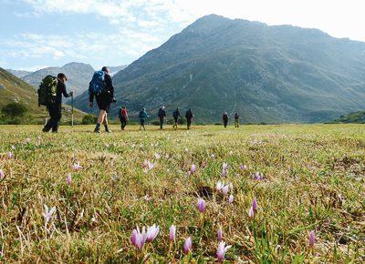 Groupe de randonneurs dans un champ de fleurs en Vanoise