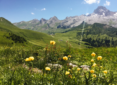 Les alpages des Aravis