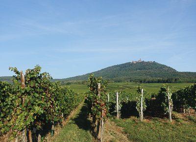 Villages et vignobles d’Alsace - 4 jours