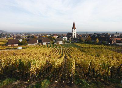 Villages et vignobles d’Alsace - 7 jours